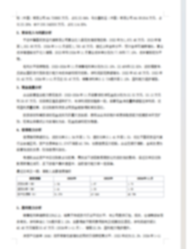 信贷调查报告内页预览